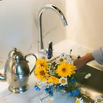 Silelis Guest house 3*