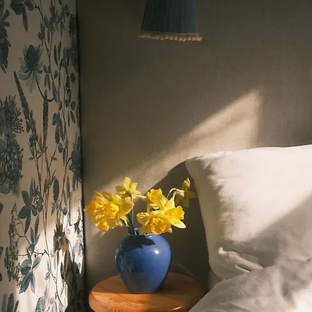 Guest house Silelis 3*