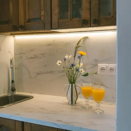 Guest house Silelis 3*