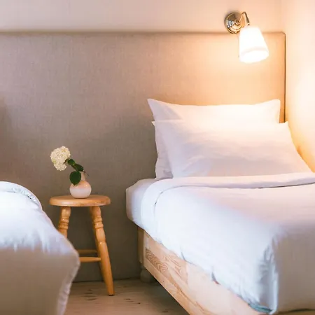 Guest house Silelis 3*