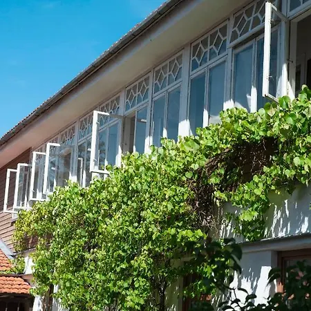 Silelis Guest house 3*