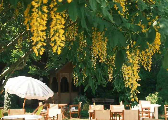 Гостьовий будинок Silelis 3*