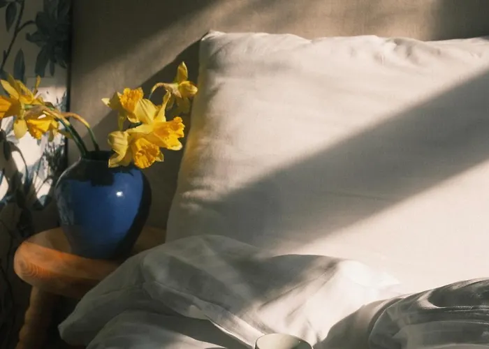 Гостьовий будинок Silelis