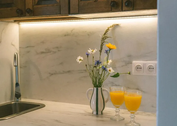 Гостьовий будинок Silelis 3*